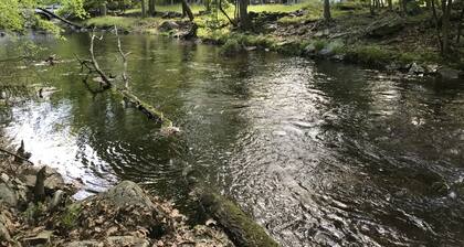 Cozy Creekfront House with Sauna
