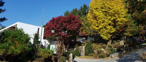 Fachada de la propiedad