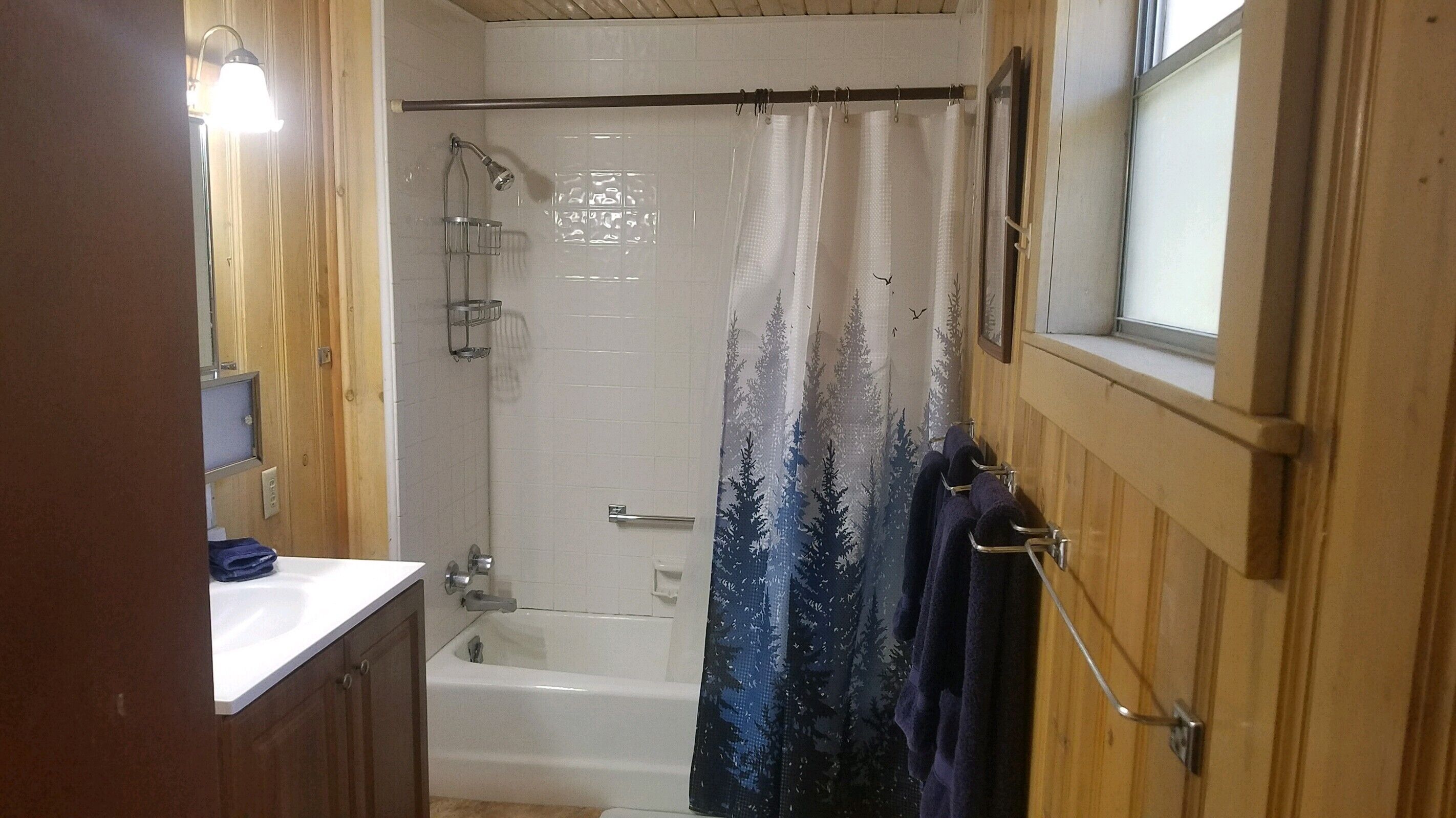 A bathroom with a shower, a bathtub, a window, and a towel rack.