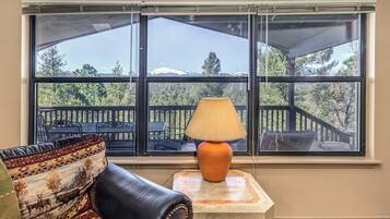 Flat-screen TV, fireplace, DVD player, books