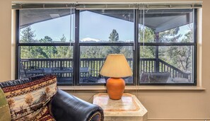 Flat-screen TV, fireplace, DVD player, books