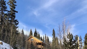 Una cabaña rodeada de árboles cubiertos de nieve y un cielo despejado.