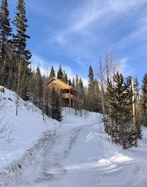 Exterior - Secluded Log Cabin on 2 acres, backs to Pike National Forest, just 15mi to Breck (Alma)