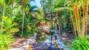 Un exuberante jardín con un pequeño estanque, rodeado de diversas plantas tropicales y un sendero de piedra.