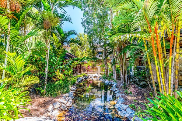 Jardim