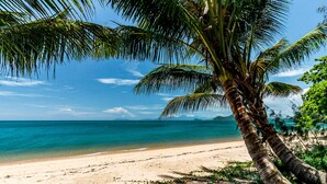 Una playa con aguas turquesas cristalinas, una orilla arenosa y una palmera.