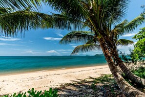 ใกล้ชายหาด, ทรายสีขาว, บาร์ริมหาด