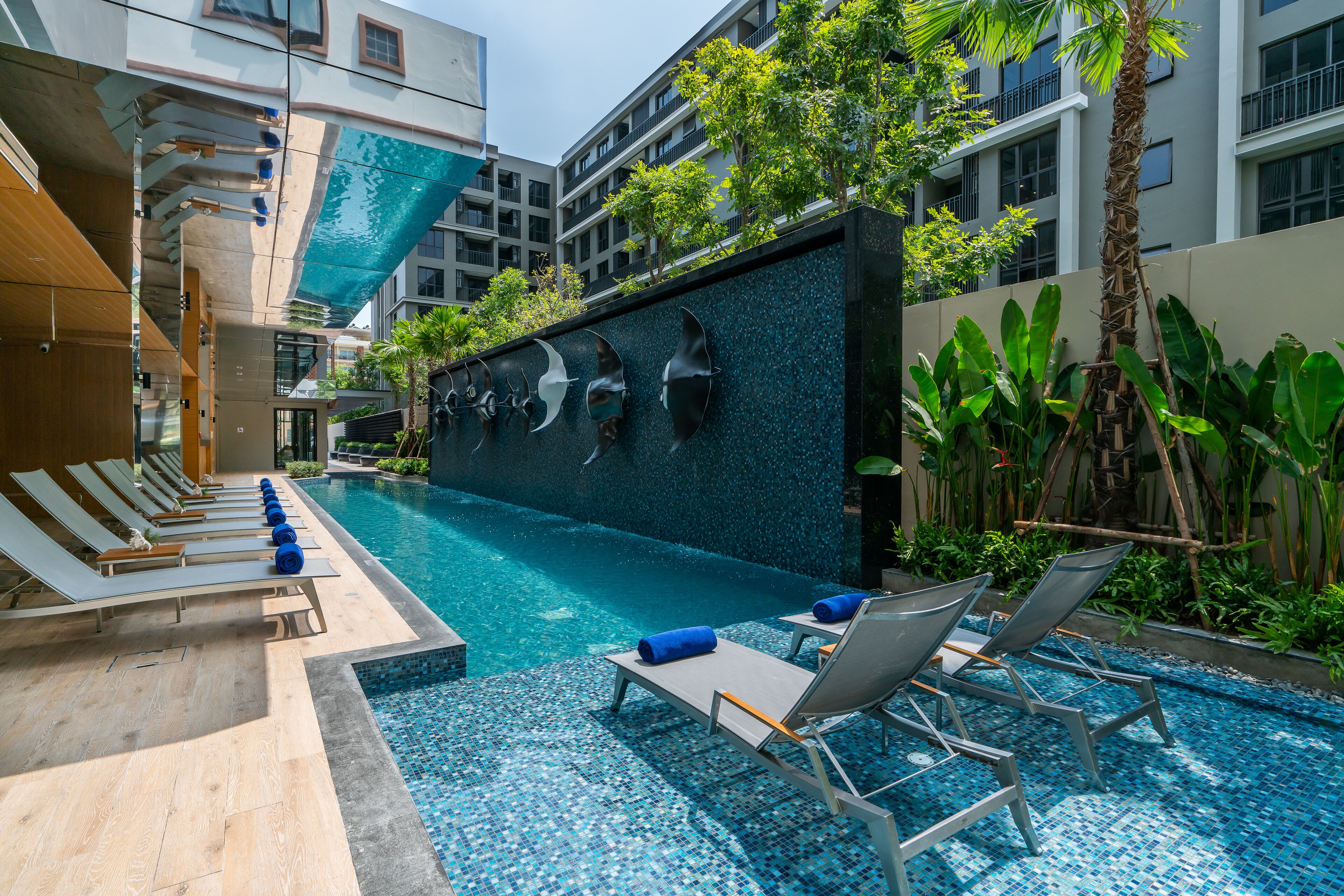 Outdoor pool, sun loungers