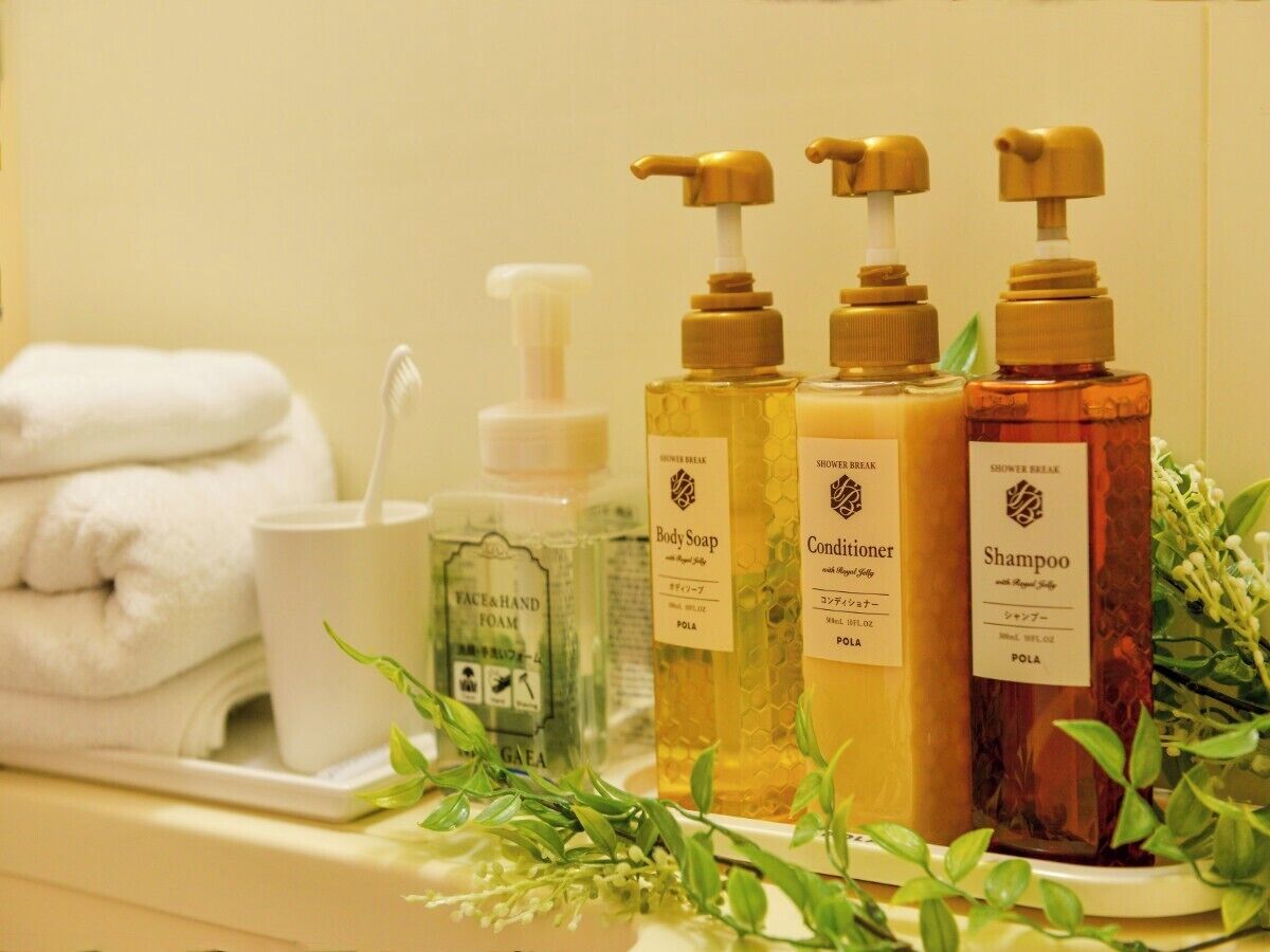 Combined shower/bathtub, free toiletries, hair dryer, slippers