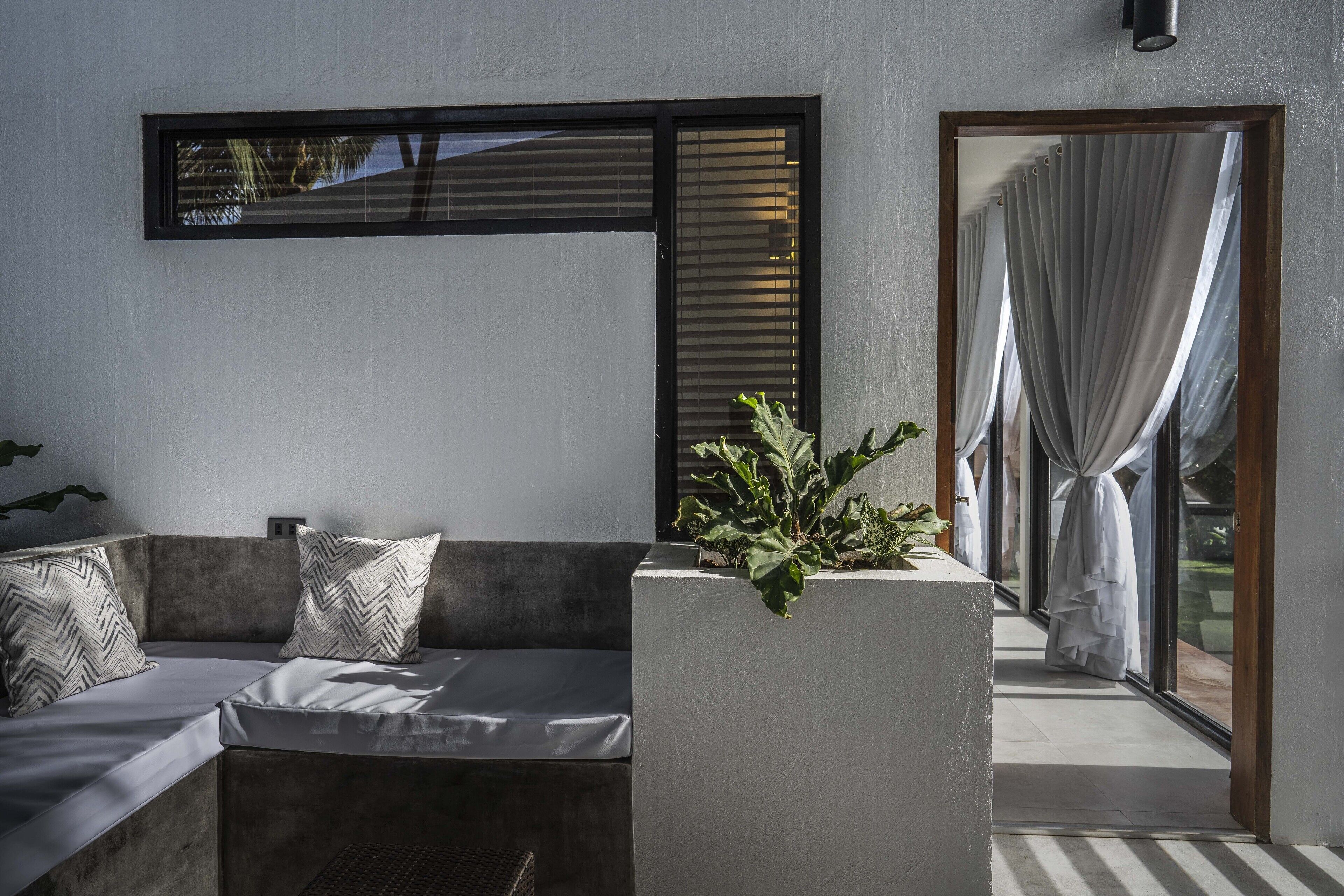A modern living area with a sofa, cushions, a potted plant, and a large window with blinds.