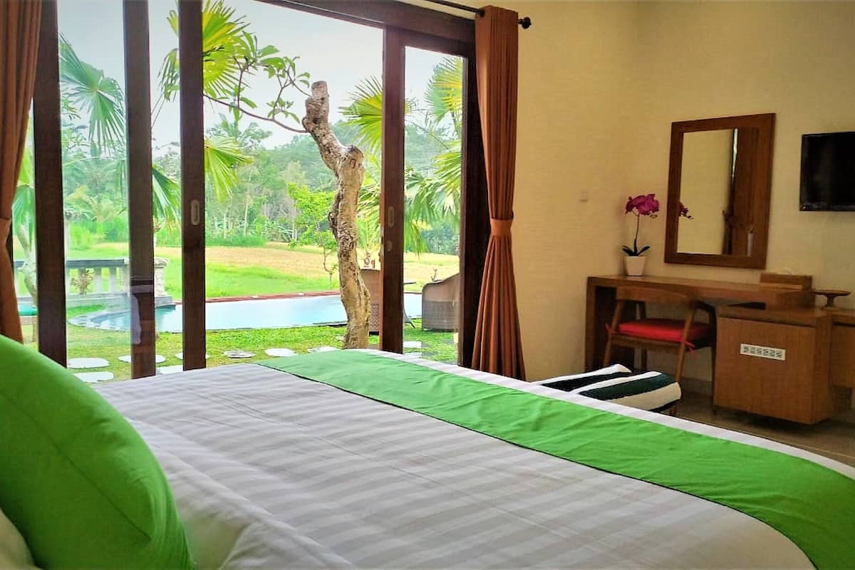 5 habitaciones y wifi gratis