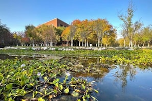 A pond with lily pads and a building in the background. - NCEC Jinyuan Hotel (TIANJIN)