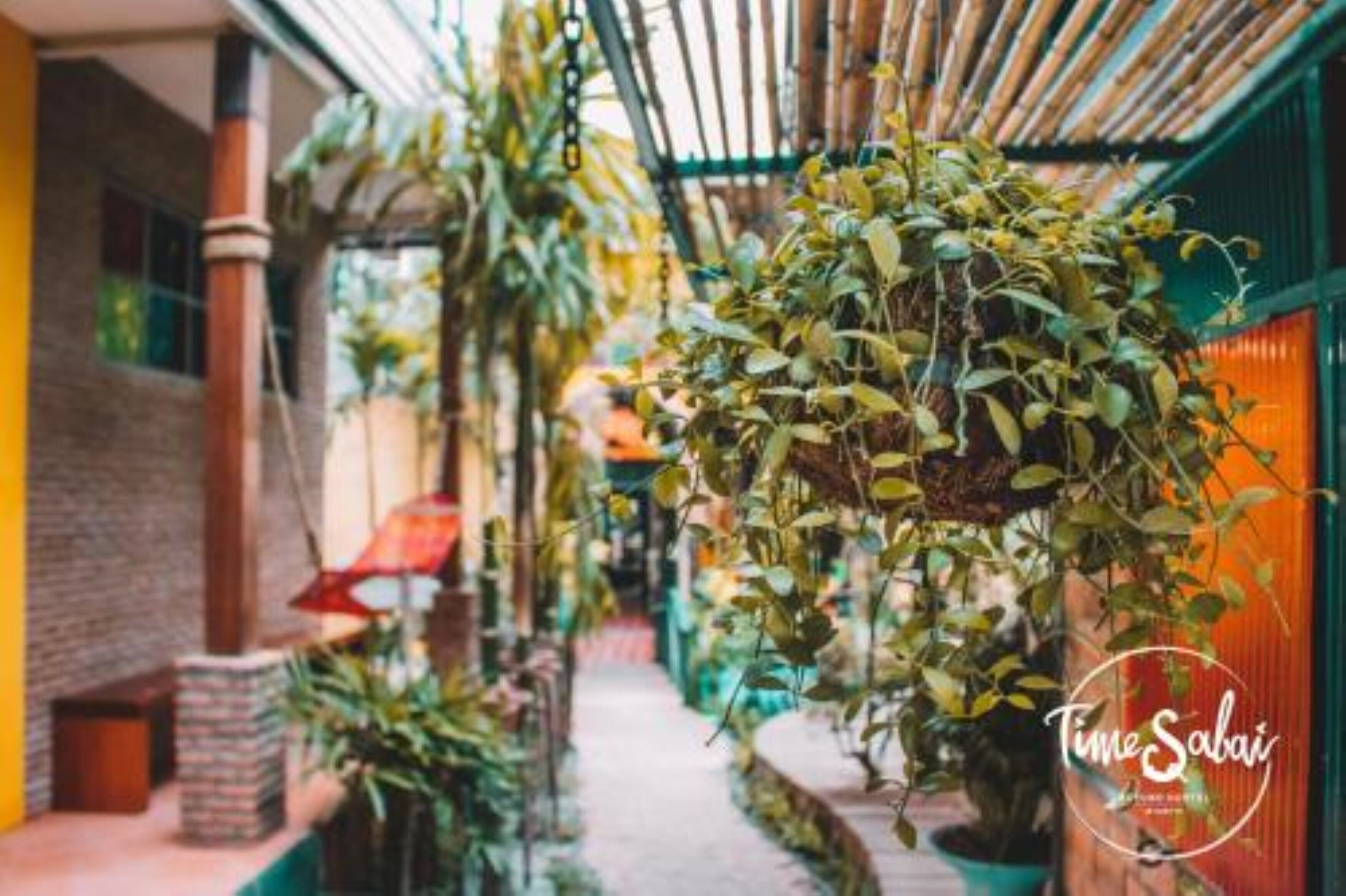 Photo - Time Sabai 134