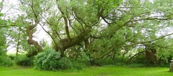 Room 7 double room - Bed & Breakfast behind the North Sea dike