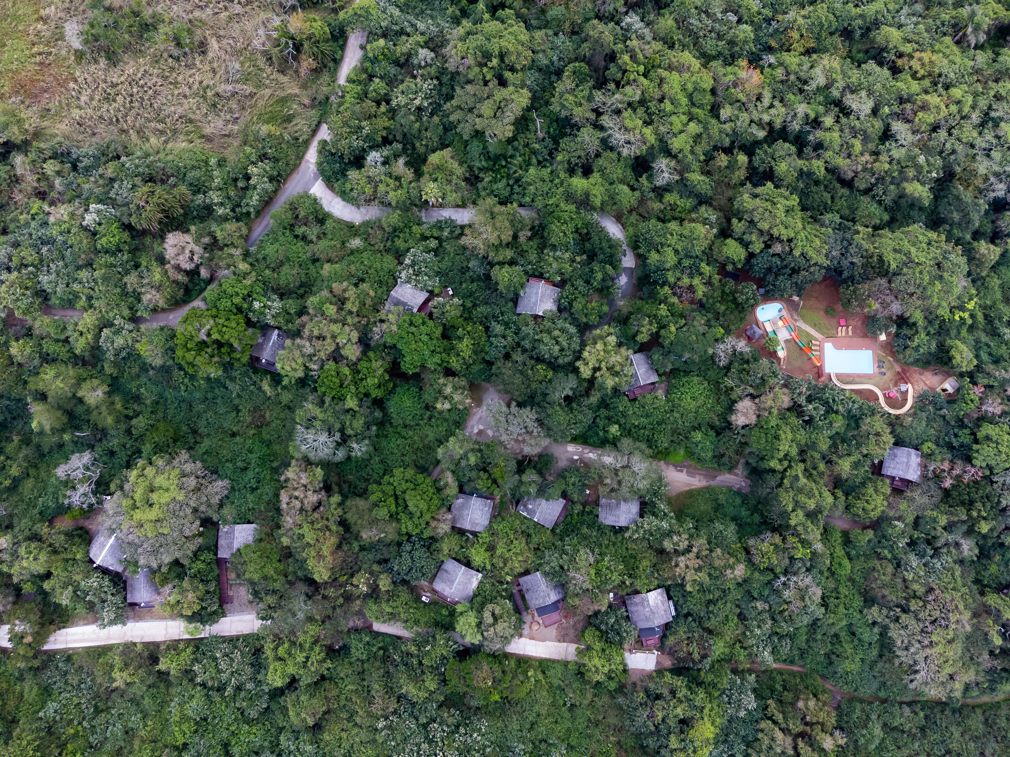 Mtunzini Forest Lodge Self Catering in Durban, South Africa