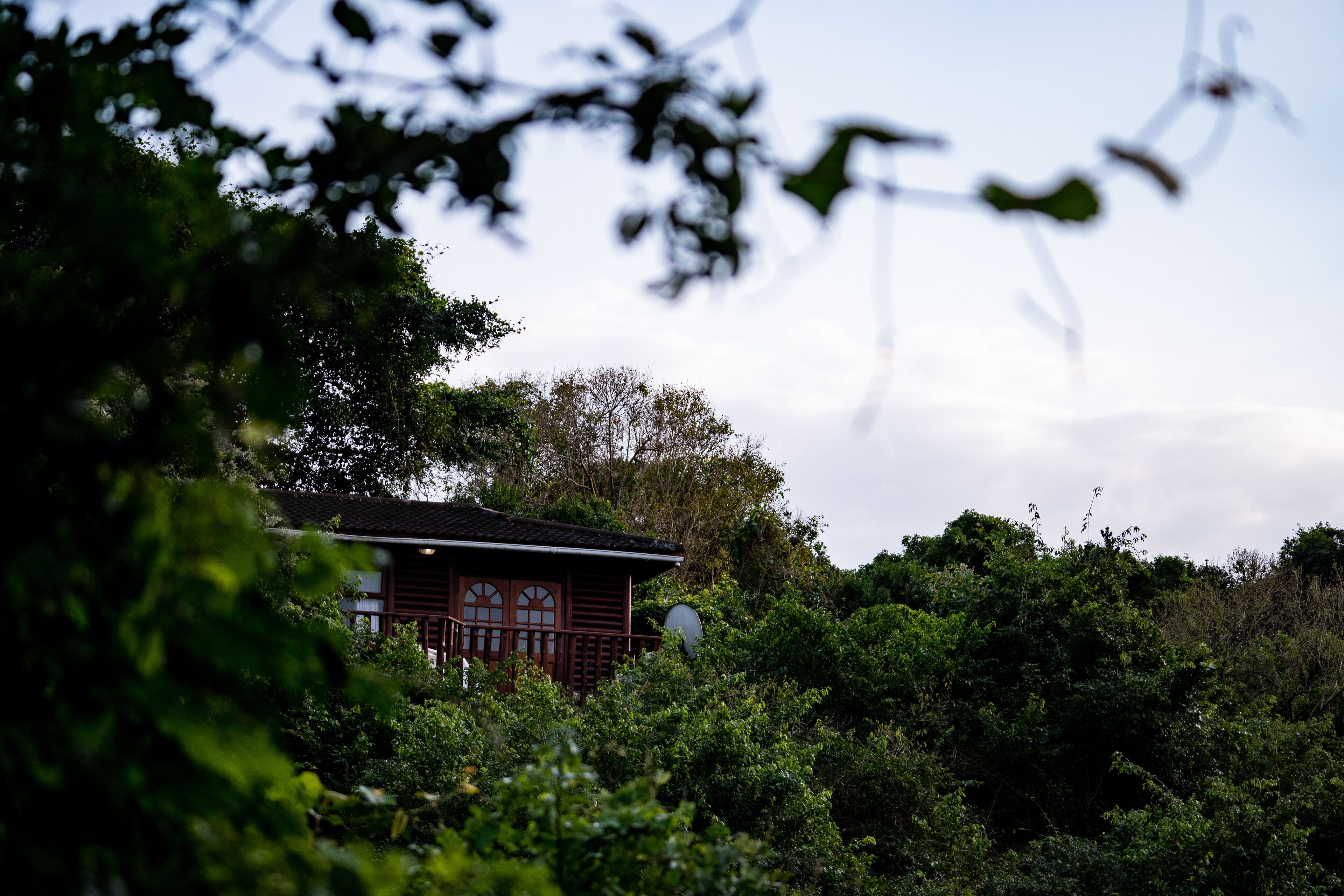 A traditional wooden building surrounded by dense foliage.