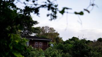 A traditional wooden building surrounded by dense foliage.