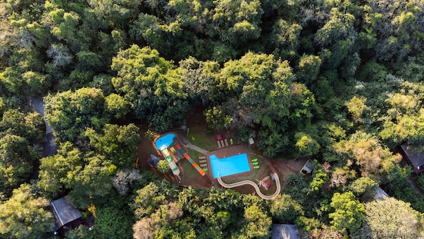 Vista aérea de una propiedad con piscina, un edificio pequeño y árboles densos alrededor.