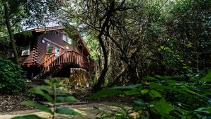 Una cabaña con una escalera de madera que sube a una terraza, rodeada de un bosque frondoso.