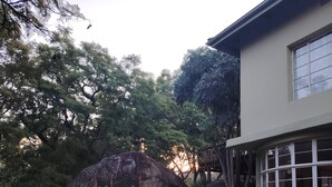 Ein angelegter Garten mit großen Steinen, einem Pfad und einem Gebäude mit einem Fenster.