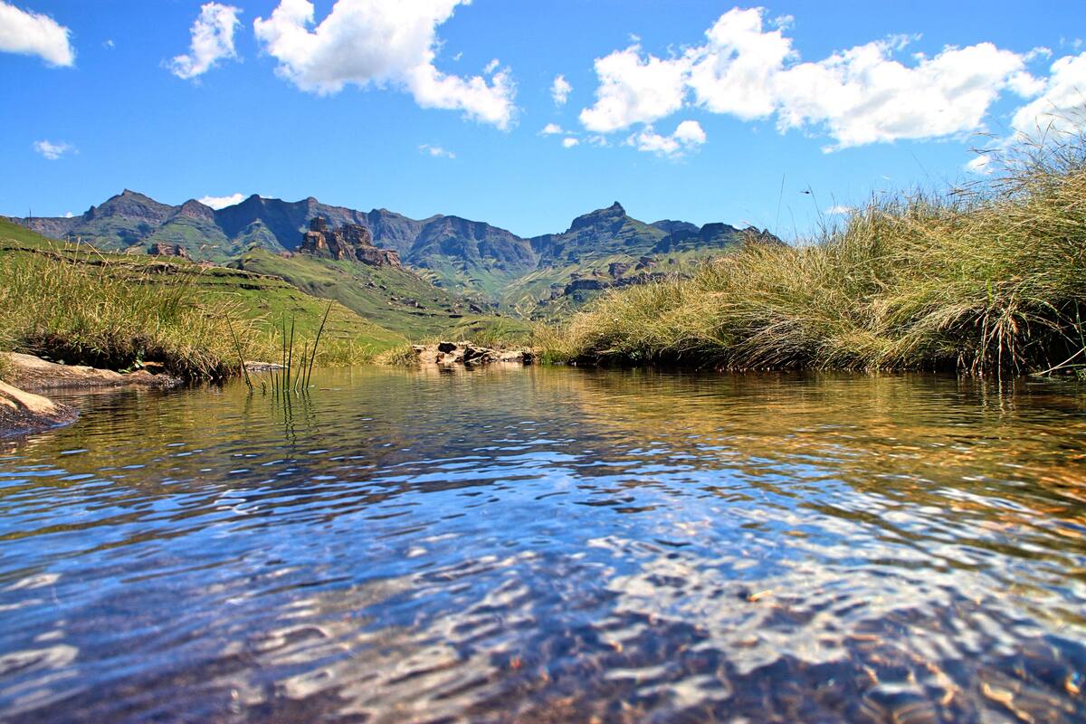 A clear mountain stream with rocky banks and grass on the sides.