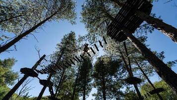 A forest with tall trees and wooden structures.