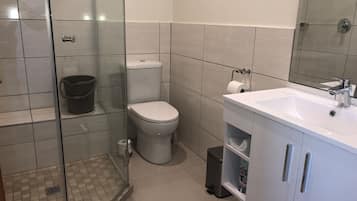 Une salle de bain moderne avec une douche à parois de verre, des toilettes, un lavabo avec un miroir et une poubelle.