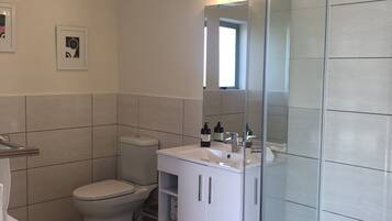 A modern bathroom with a glass shower enclosure, a toilet, and a sink with a mirror above it.