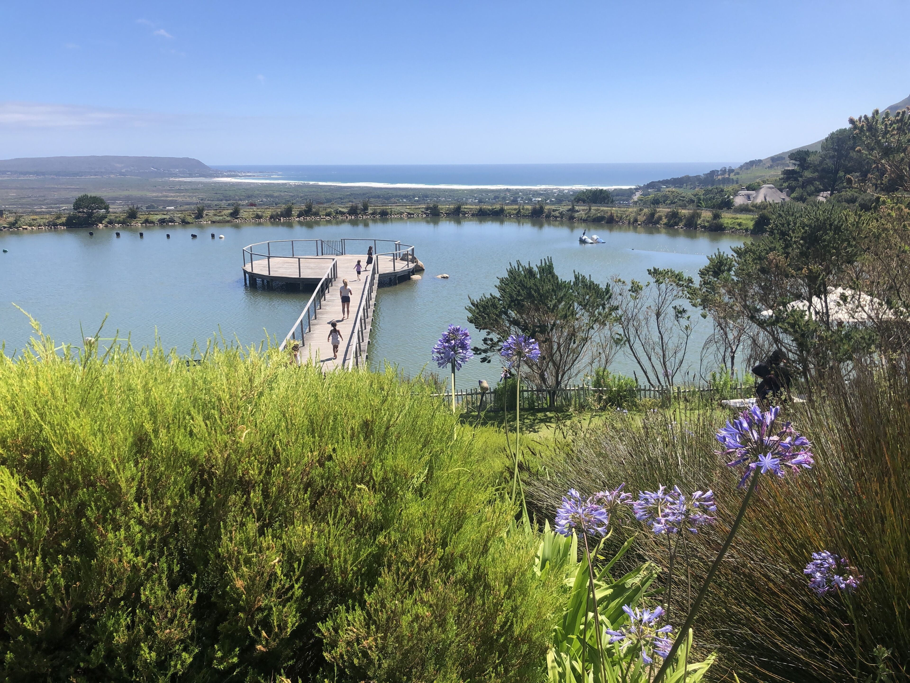 Un lago con un molo di legno che si protende sull'acqua, circondato da vegetazione e colline sullo sfondo.