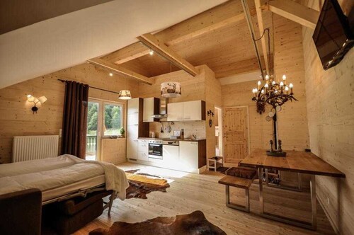 Styrian apartment with large balcony - Steirer Apartment