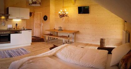 Styrian apartment with large balcony - Steirer Apartment