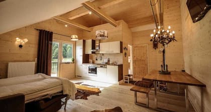 Appartement styrien avec grand balcon - Appartement styrien