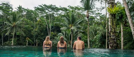 Outdoor pool, sun loungers