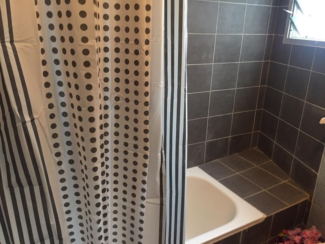 A bathroom with a shower area, a bathtub, and dark tiled walls.