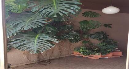 Talo kahden järven välillä