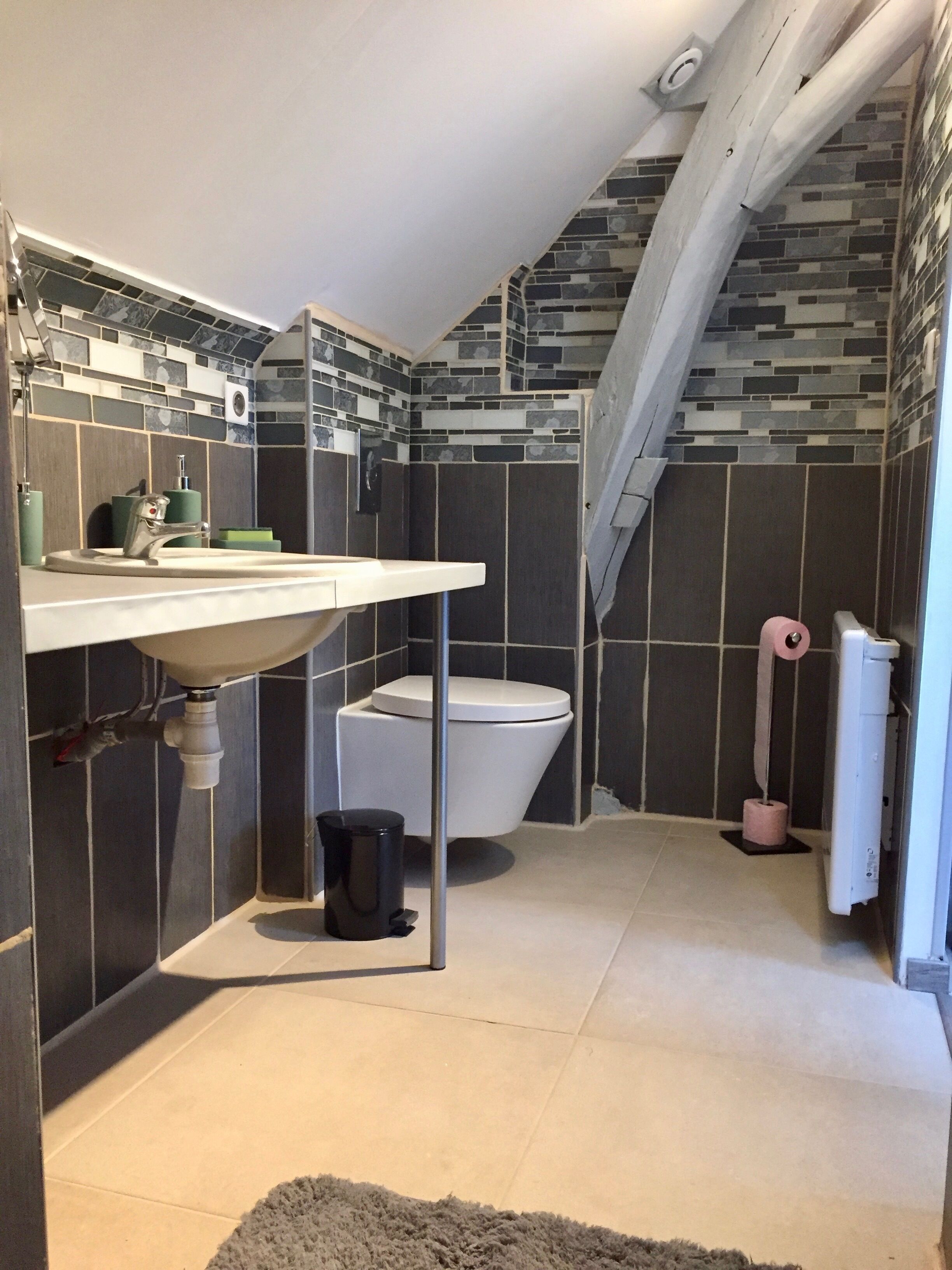 Un bagno con lavandino bianco, WC e zona doccia.