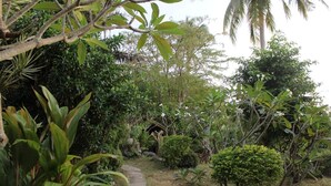 Un sentier de jardin bordé de différentes plantes et arbres tropicaux.