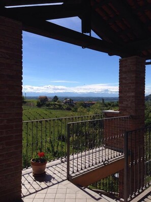 View from room