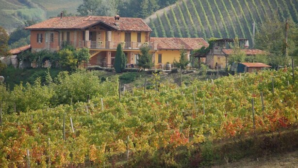 Un vignoble avec des rangées de vignes et un bâtiment jaune doté d’un balcon.