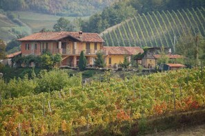Un vignoble avec des rangées de vignes et un bâtiment jaune doté d’un balcon.