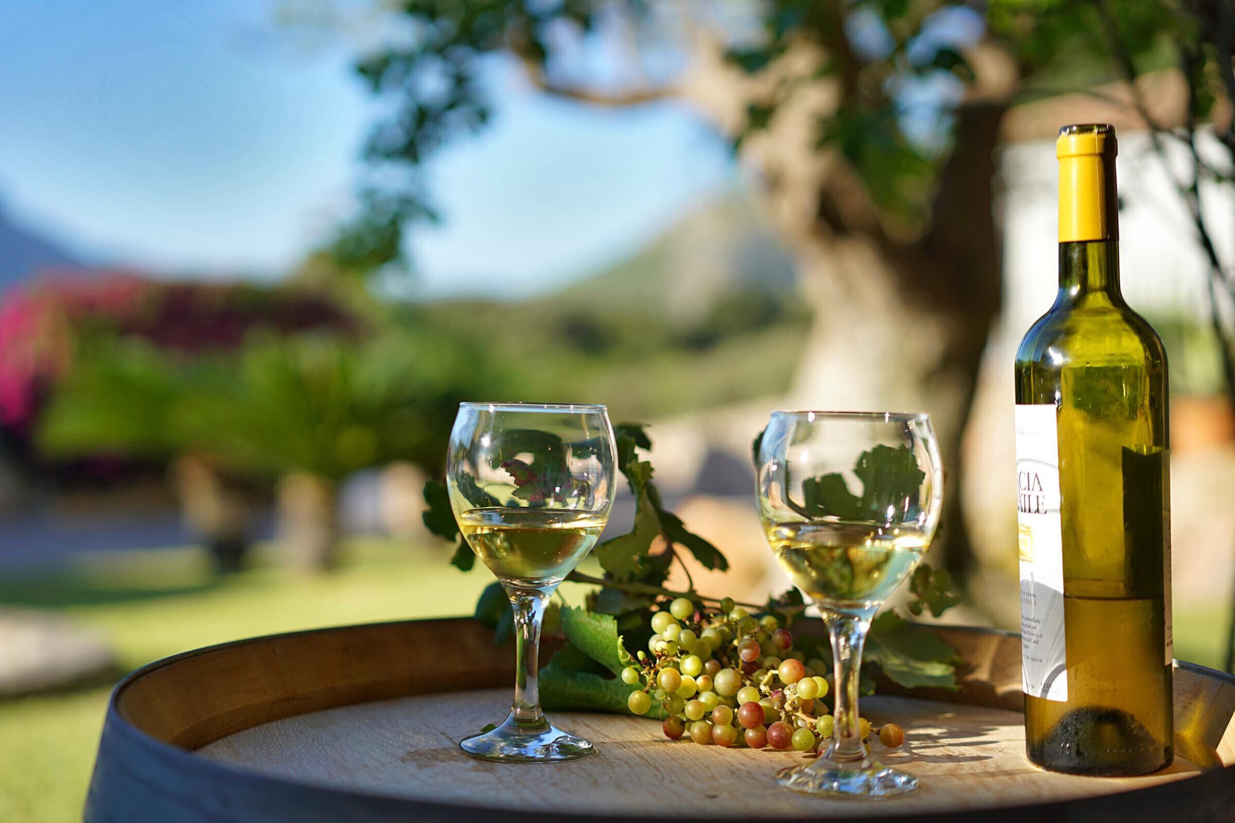 Deux verres à vin posés sur une barrique en bois, avec une bouteille de vin et quelques grappes de raisin en arrière-plan.