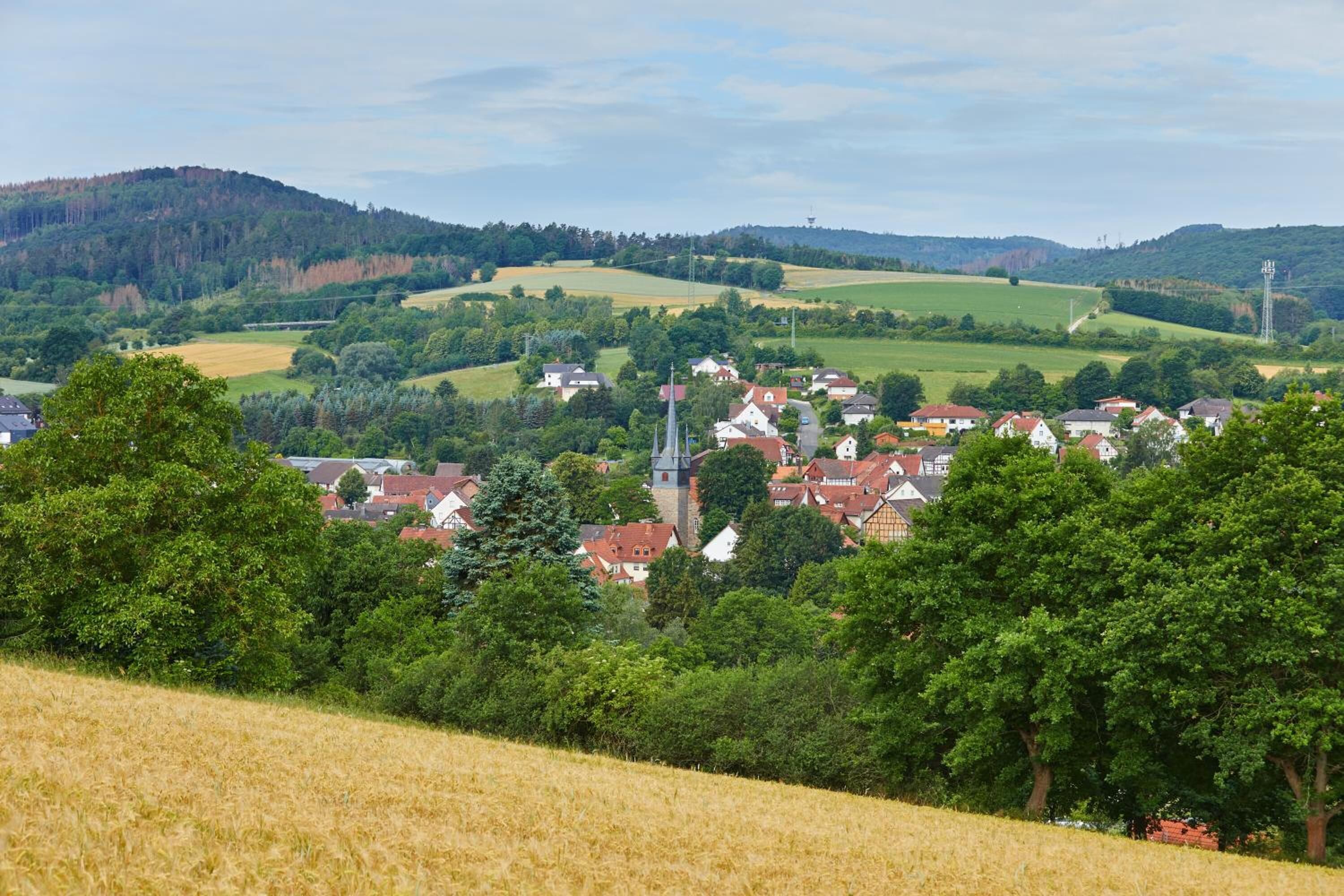 A rural village with traditional houses, a church, and surrounding fields.