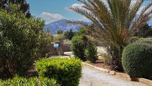 A gravel pathway leading to a gate, surrounded by various shrubs and a palm tree. - LA VINYA CAN OLIVER ( OLIVER ). Country house located between Pollensa and Pto. Pollensa (Puerto Pollensa)