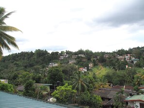 วิวภูเขา