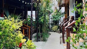 A narrow pathway flanked by lush greenery and wooden structures, leading to a covered area with string lights. -  BING-VICE TOURIST INN Port Barton (San Vicente)