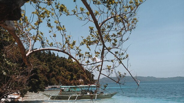 A rocky shoreline with clear water, a boat, and a tree arching over the scene. -  BING-VICE TOURIST INN Port Barton (San Vicente)