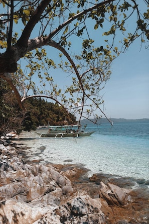 A rocky shoreline with clear water, a boat, and a tree arching over the scene.