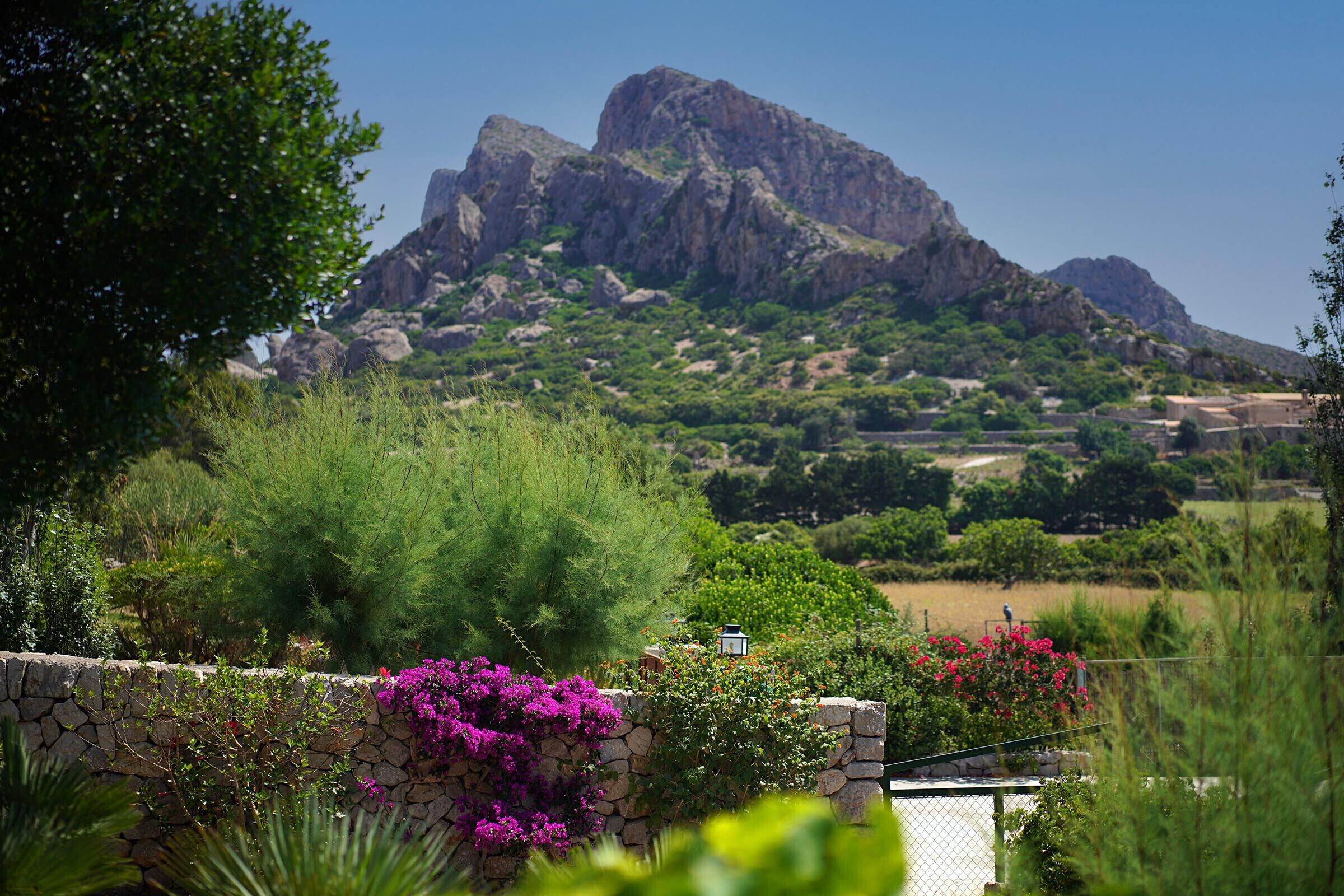 A stone wall with flowering plants and a view of a mountain.