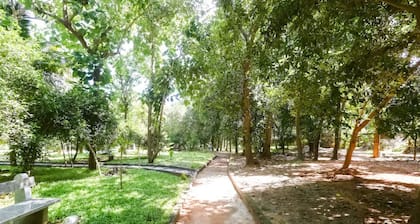 Nature Breeze Resort and Spa