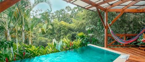 Zona de piscina con un deck de madera, rodeada de exuberante vegetación tropical.